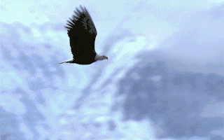 概念动态飞龙股份新增“储能”概念